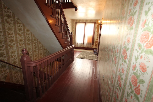 stairs featuring hardwood / wood-style flooring