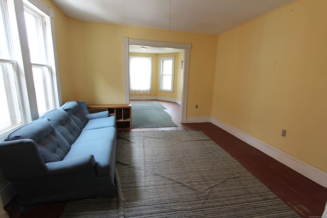 living room with dark wood-type flooring