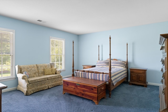 carpeted bedroom with multiple windows