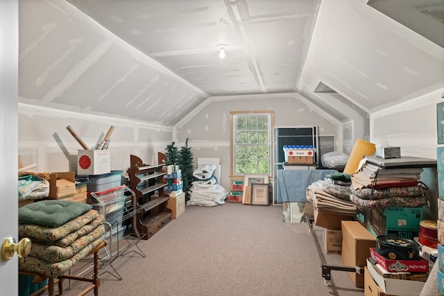 bonus room with lofted ceiling and carpet