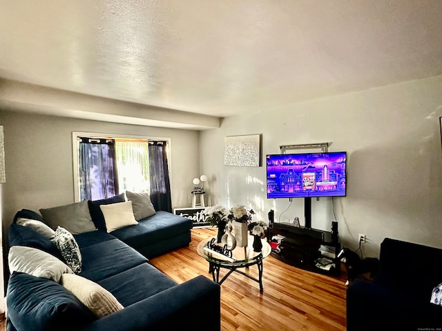 living room with hardwood / wood-style flooring