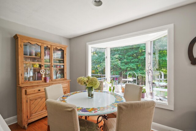 dining room featuring hardwood / wood-style flooring and a wealth of natural light