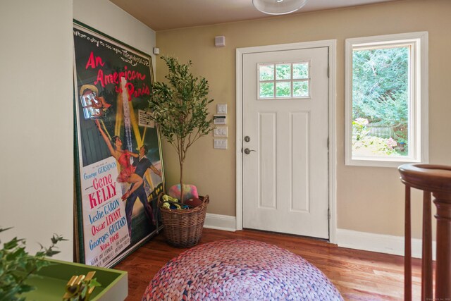 foyer with wood-type flooring