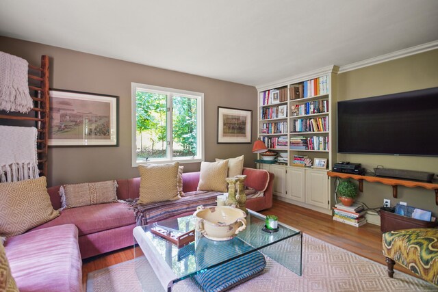 living room featuring hardwood / wood-style floors