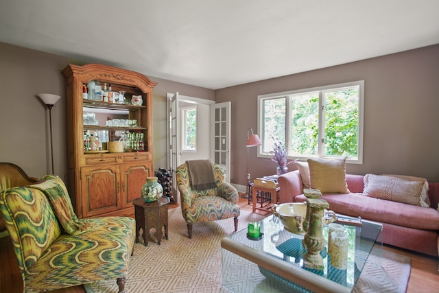 living room with hardwood / wood-style flooring