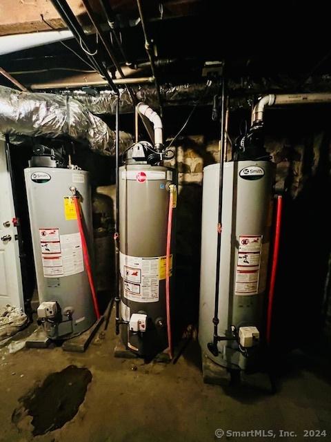 utility room with gas water heater