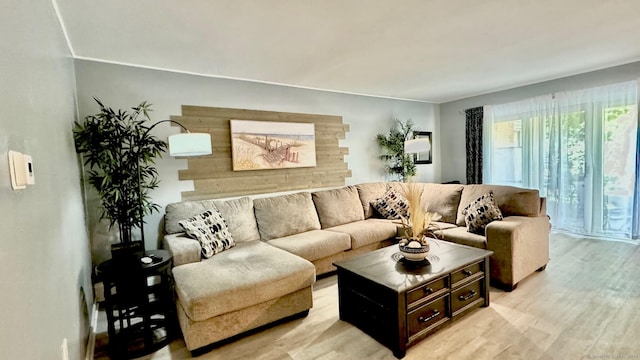 living room with light wood-type flooring