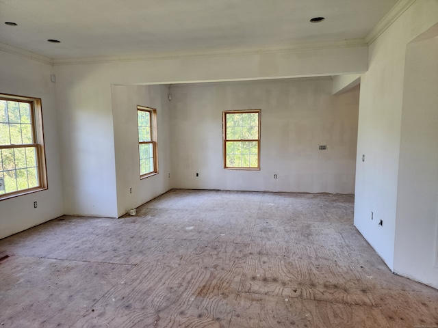 spare room with plenty of natural light and ornamental molding