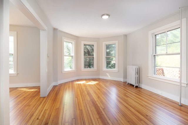 spare room featuring radiator, a healthy amount of sunlight, light wood-style flooring, and baseboards