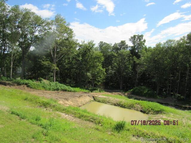 LOT9 Morning Dove Rd Lot # 9, Naugatuck, CT 06770 - photo 6