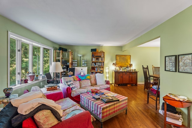 living room featuring wood-type flooring