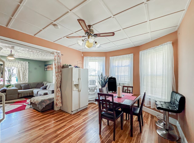 dining area featuring ceiling fan and light hardwood / wood-style floors