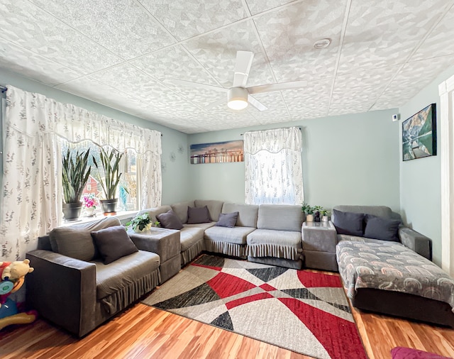 living room with ceiling fan and hardwood / wood-style flooring