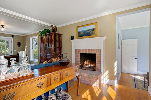 living room featuring a fireplace, crown molding, and light hardwood / wood-style flooring