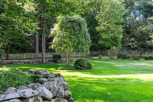 view of home's community with a yard