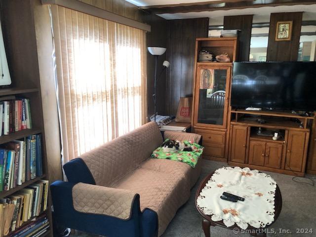 carpeted living room with wood walls and plenty of natural light