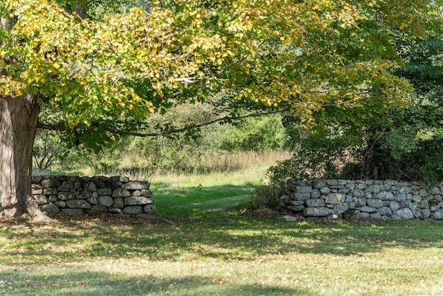 44 S St, Roxbury, CT 06783 - view of yard
