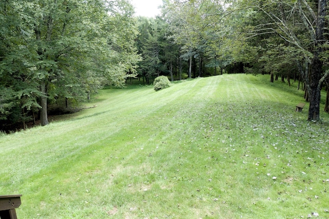 148 Flanders Rd, Woodbury, CT 06798 - view of grassy yard