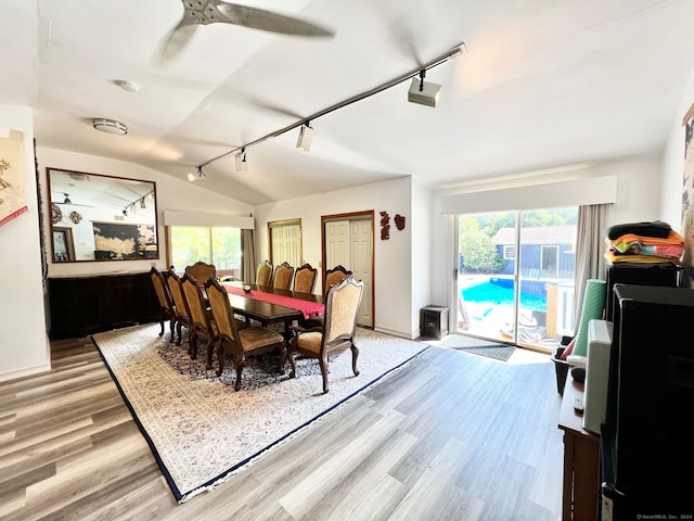 dining area with light hardwood / wood-style floors, plenty of natural light, and rail lighting