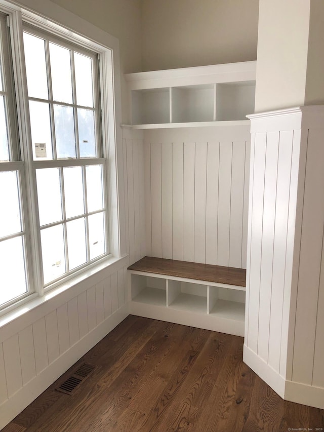 mudroom with dark wood-type flooring