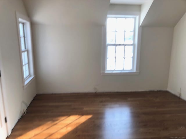 additional living space featuring dark hardwood / wood-style flooring