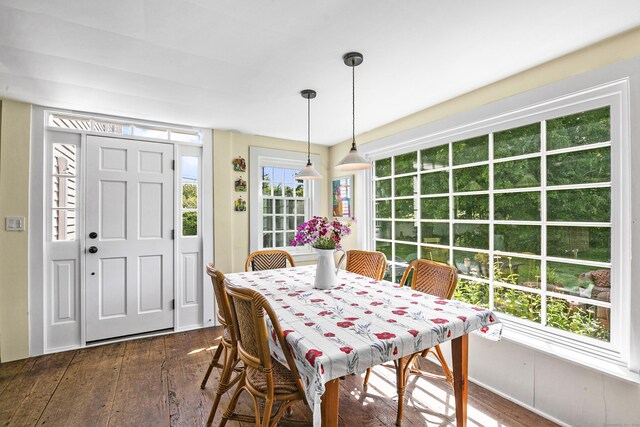 dining area featuring dark hardwood / wood-style flooring