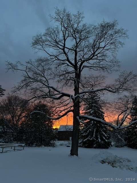 view of yard layered in snow