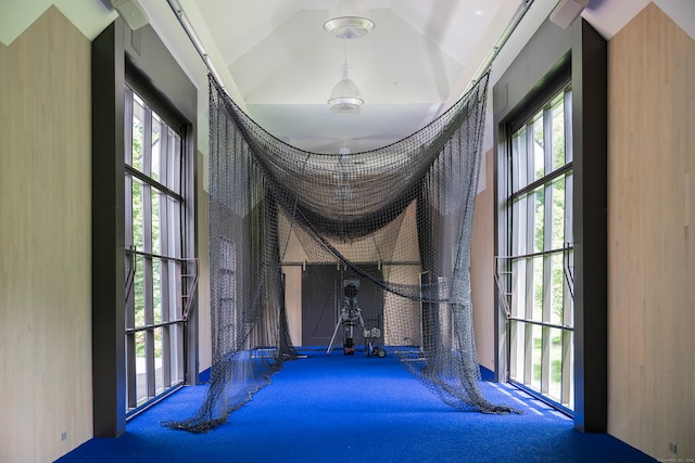 interior space featuring carpet flooring and vaulted ceiling