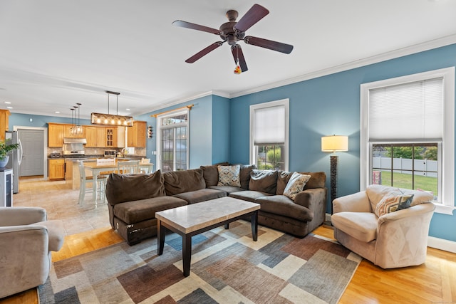 living room with ceiling fan, crown molding, and light hardwood / wood-style flooring