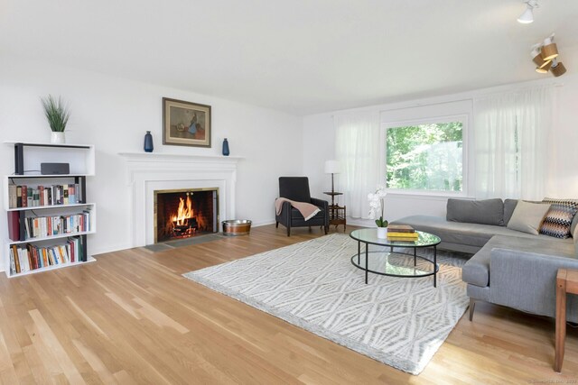 living room with wood-type flooring