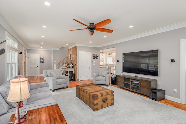 living room featuring ornamental molding, light wood-type flooring, and ceiling fan