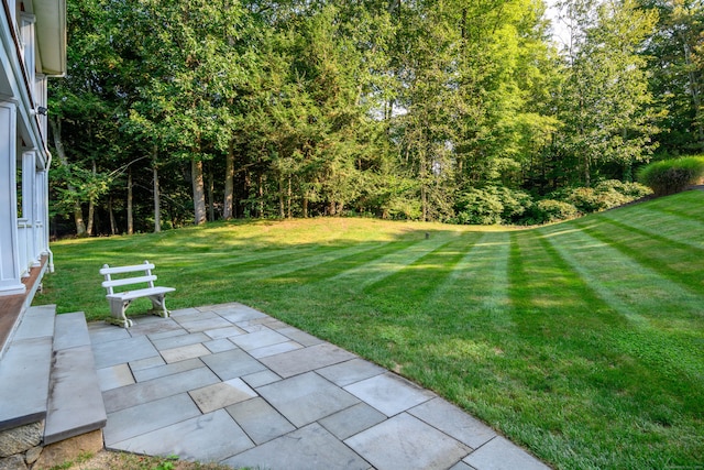 view of yard with a patio