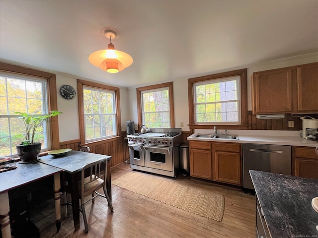 kitchen featuring decorative light fixtures, light wood-type flooring, appliances with stainless steel finishes, and sink