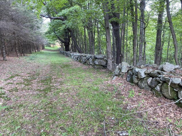 77 Deer Hill Rd, Colebrook, CT 06021 - photo 18