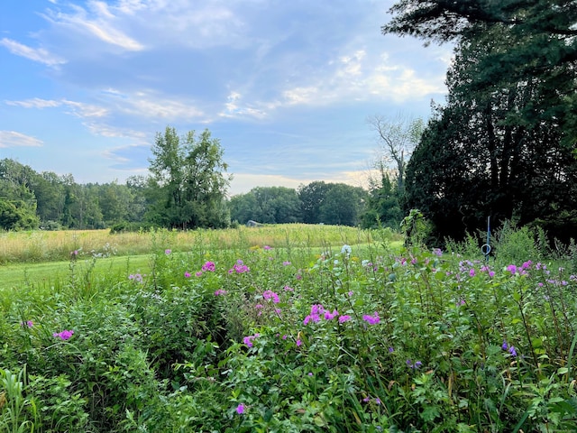 view of nature with a rural view