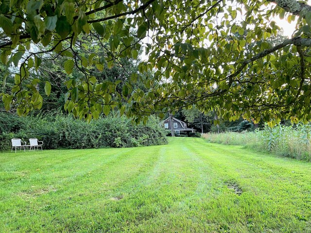 77 Deer Hill Rd, Colebrook, CT 06021 - photo 3