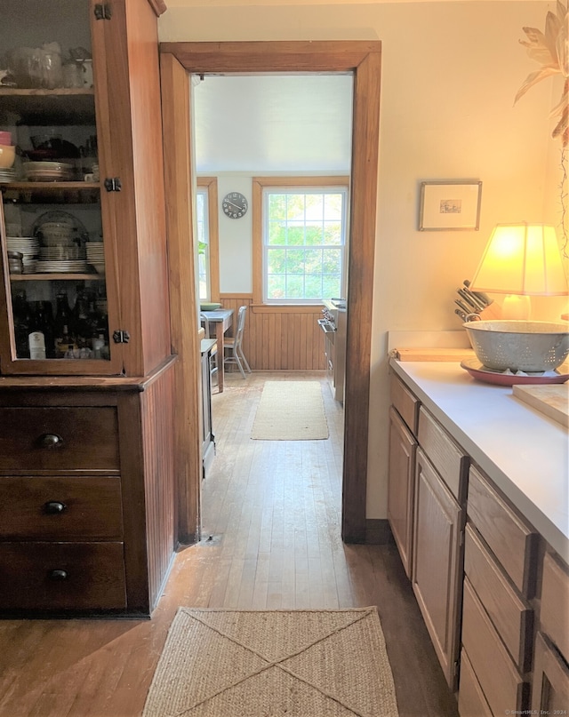 interior space featuring light wood-type flooring and wood walls