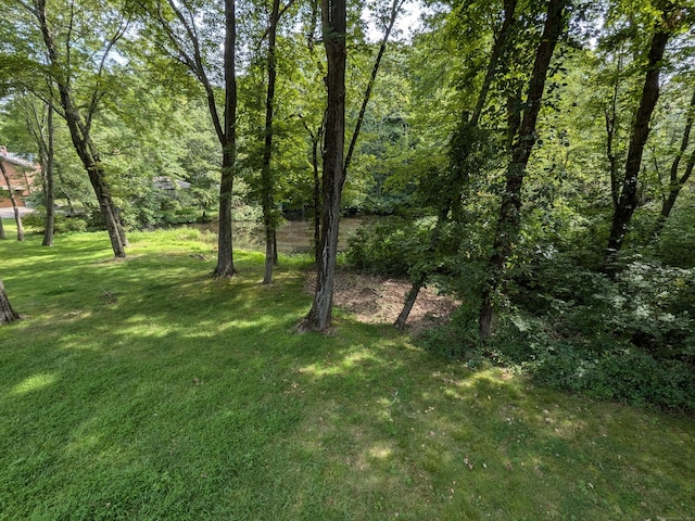 view of yard with a view of trees