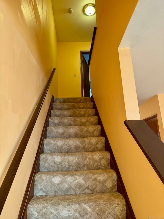 staircase with carpet floors