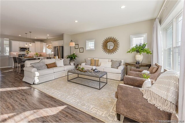 living room with a wealth of natural light and hardwood / wood-style flooring