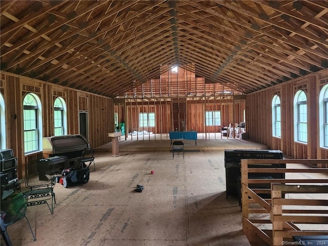 misc room featuring high vaulted ceiling and a wealth of natural light