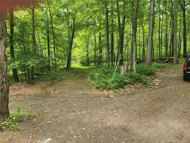 54 Seckar Rd, Ashford, CT 06278 - photo 39