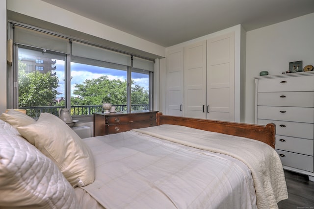 bedroom with a closet and dark hardwood / wood-style flooring