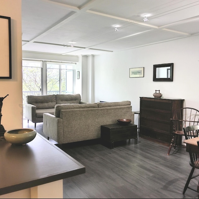 100 York St Unit 7A, New Haven, CT 06511 - living room with dark wood-type flooring