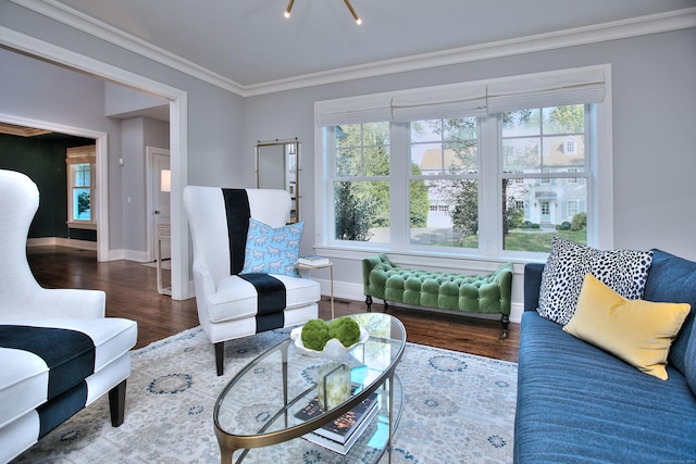 living room featuring a healthy amount of sunlight, crown molding, baseboards, and wood finished floors