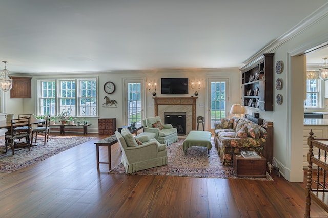 living room featuring ornamental molding, an inviting chandelier, and dark wood-type flooring