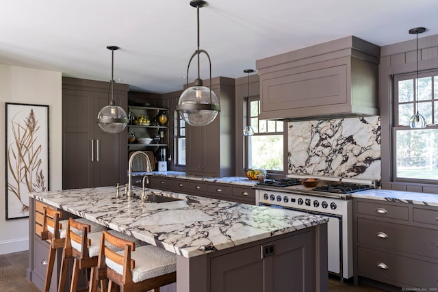 kitchen with a kitchen island with sink, light stone countertops, stainless steel stove, and sink