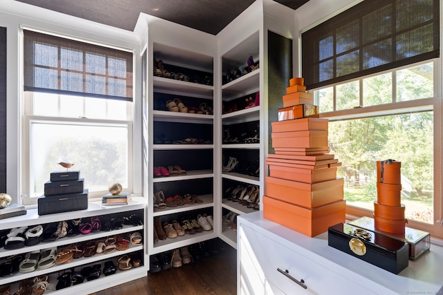 spacious closet with dark hardwood / wood-style flooring