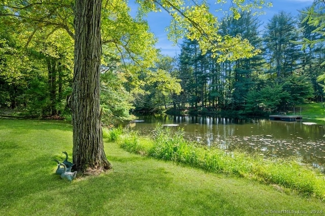 view of yard with a water view