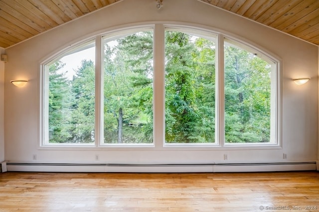 additional living space with light wood-type flooring and a wealth of natural light